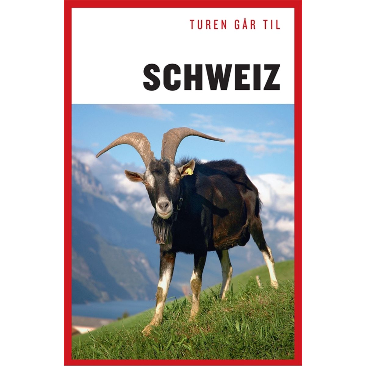 Turen går til Schweiz