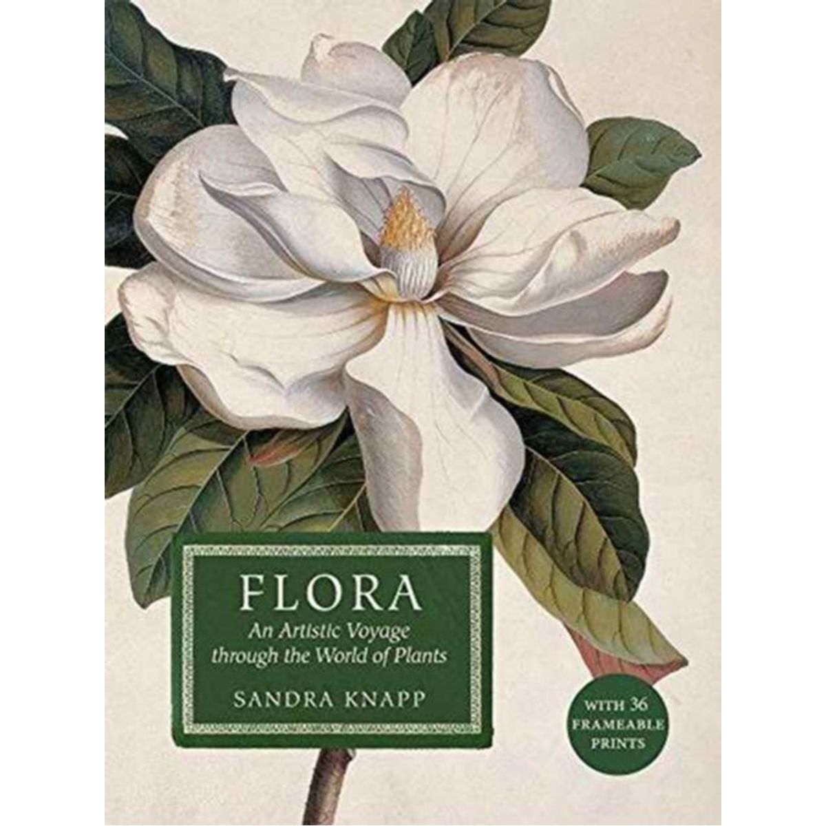 Flora: An Artistic Voyage Through the World of Plants