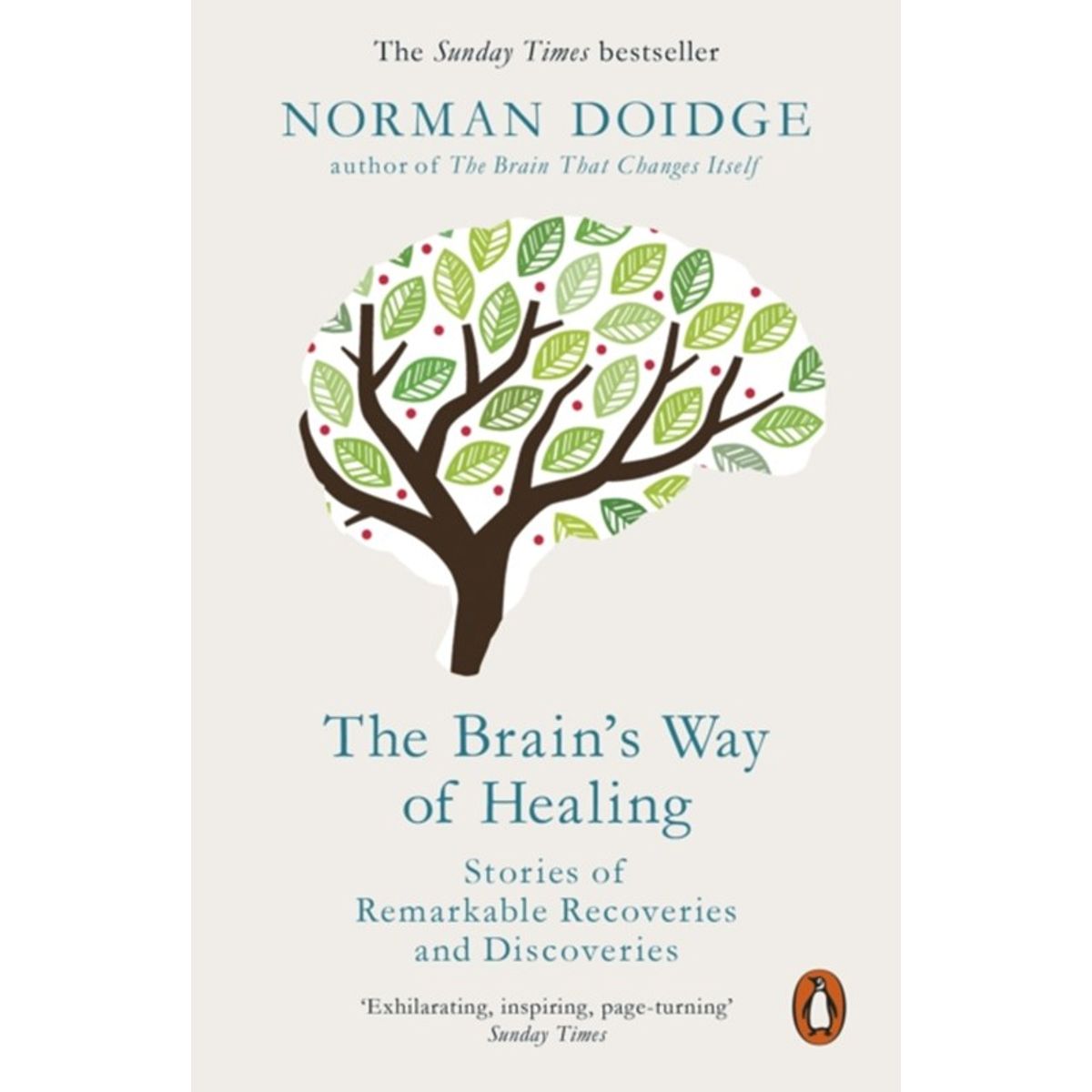 The Brain's Way of Healing