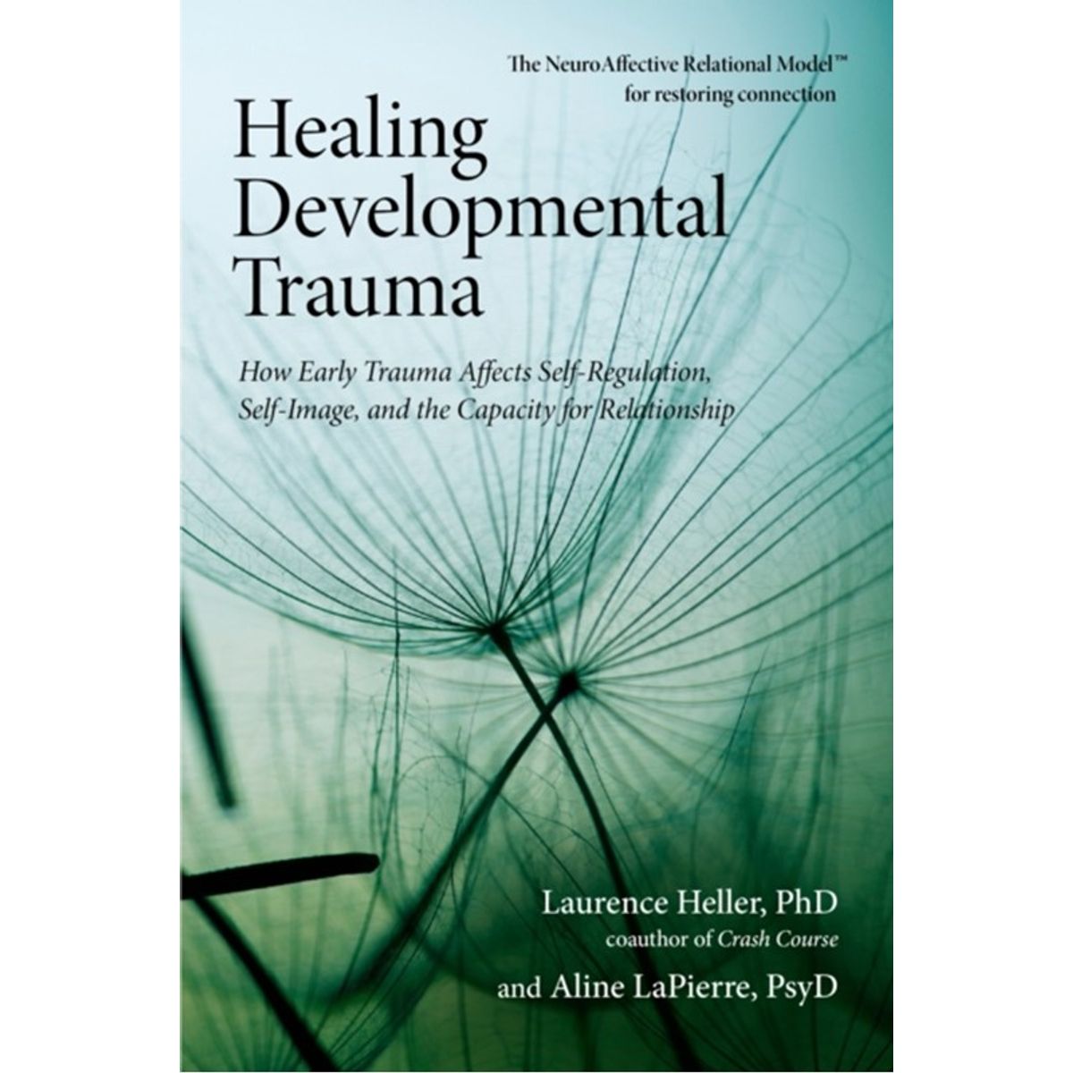 Healing Developmental Trauma