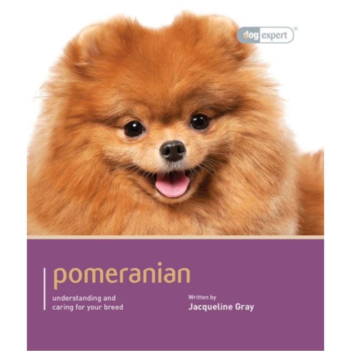 Pomeranian - Dog Expert