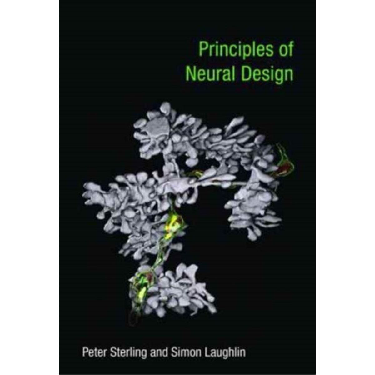 Principles of Neural Design