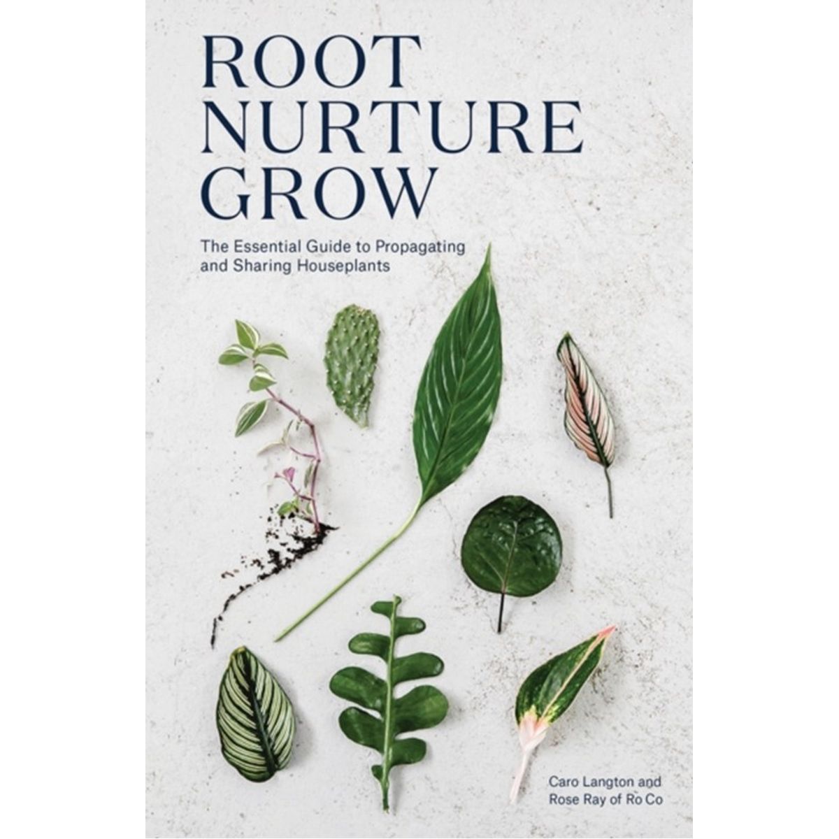 Root, Nurture, Grow