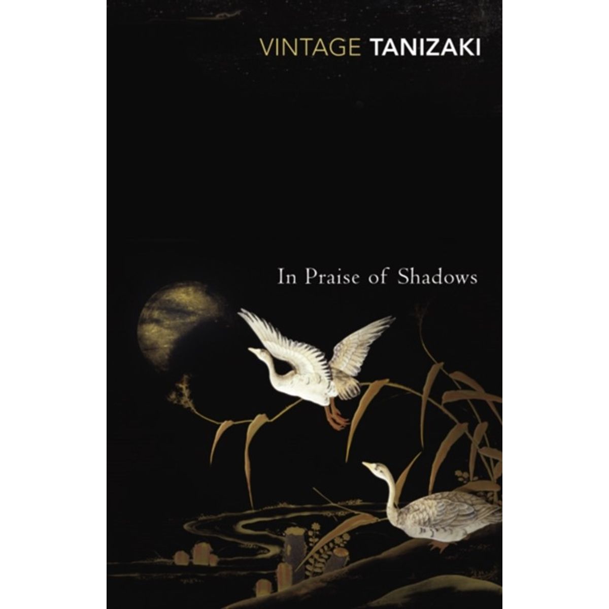 In Praise of Shadows