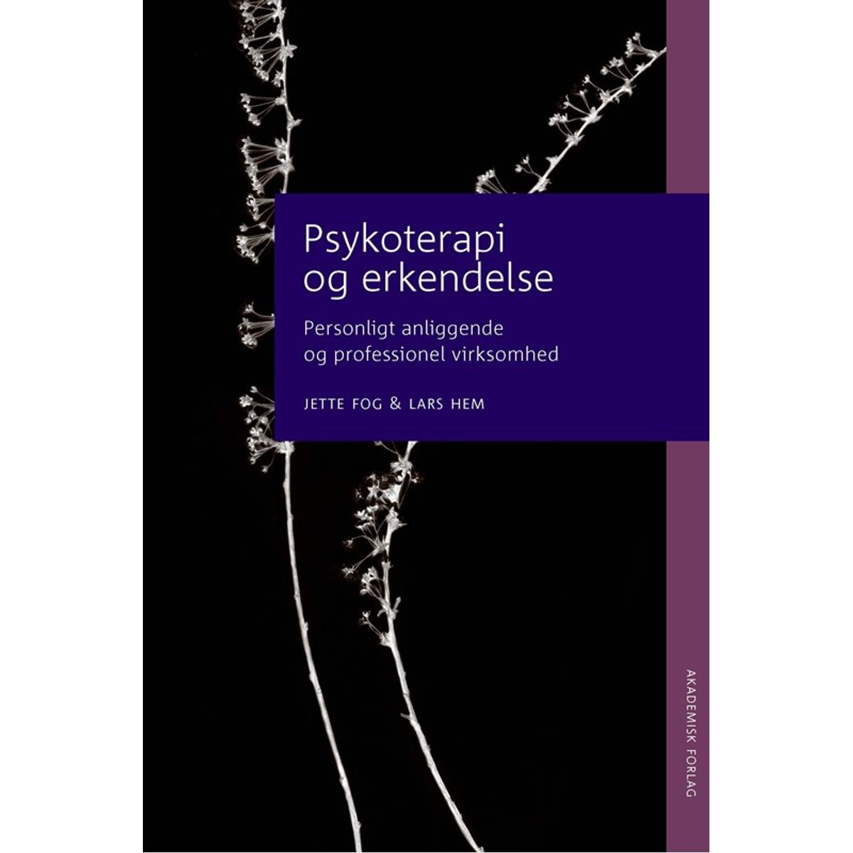 Psykoterapi og erkendelse