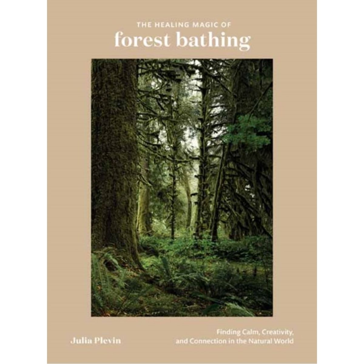 The Healing Magic of Forest Bathing