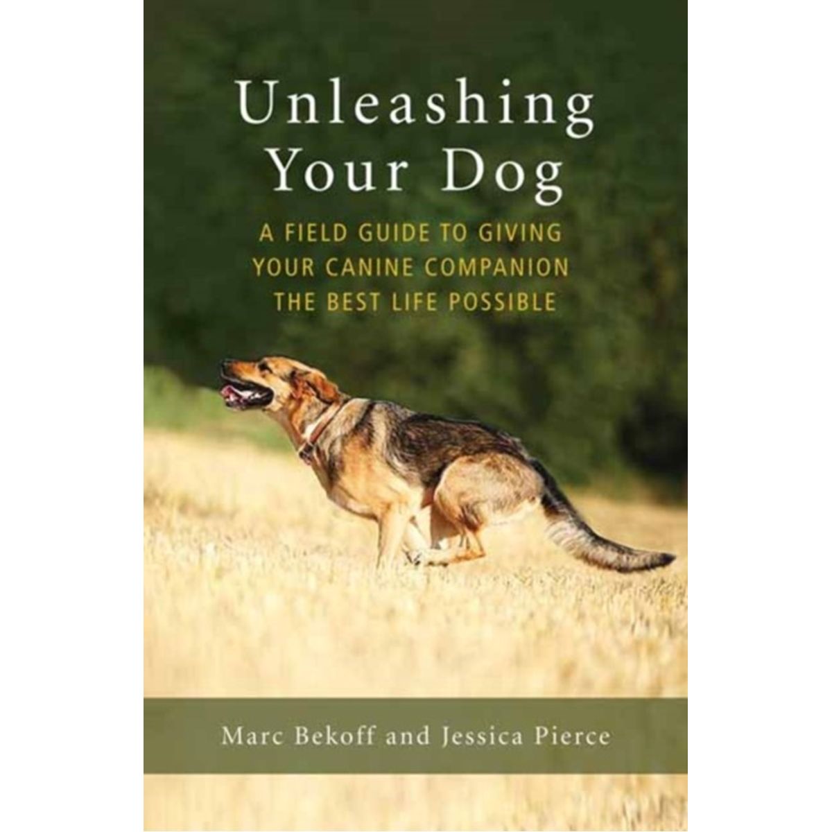 Unleashing Your Dog