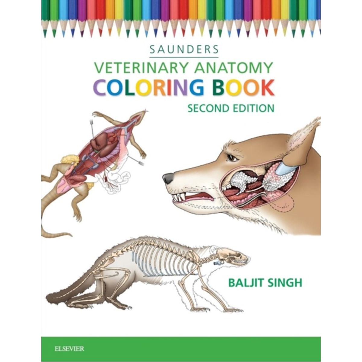 Veterinary Anatomy Coloring Book