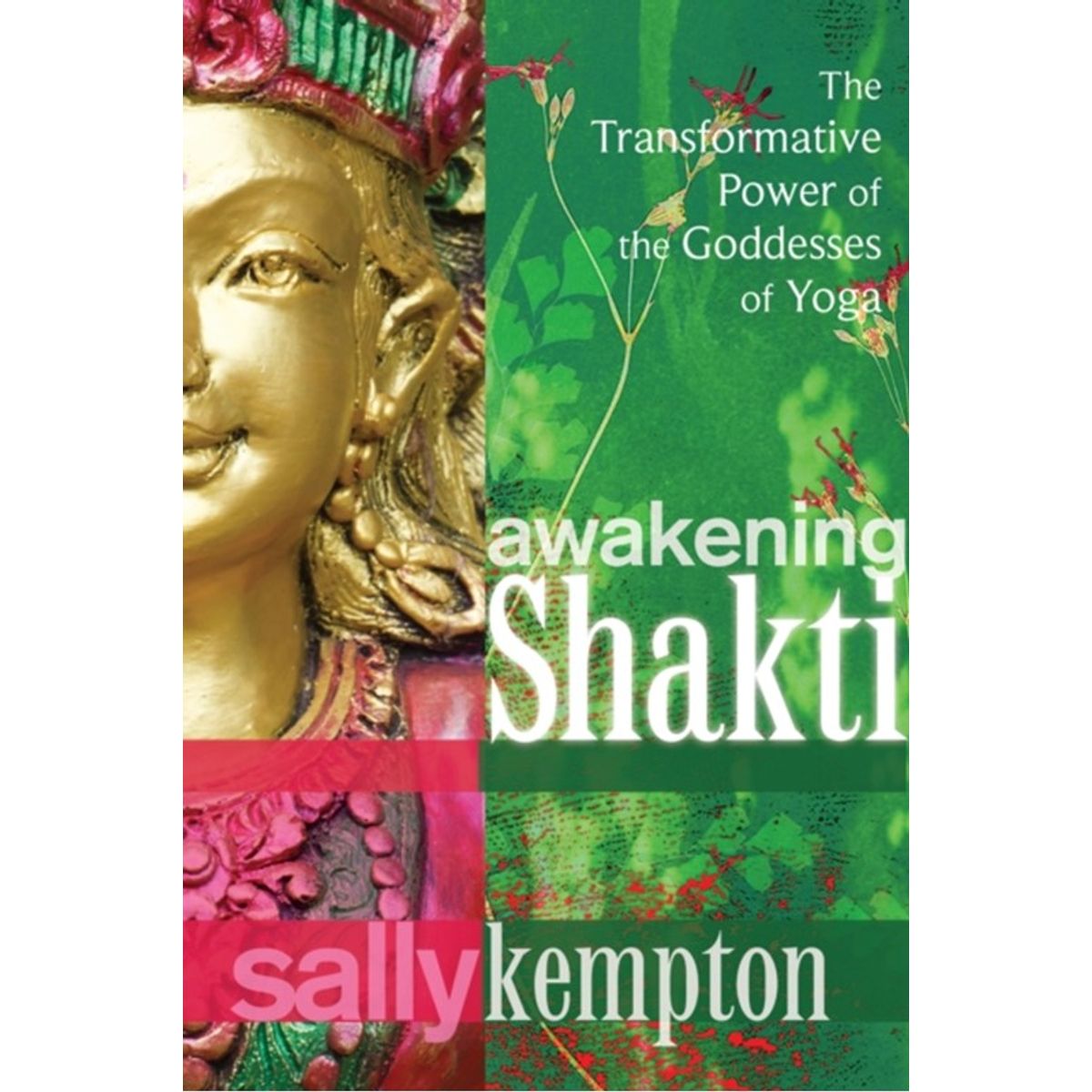 Awakening Shakti