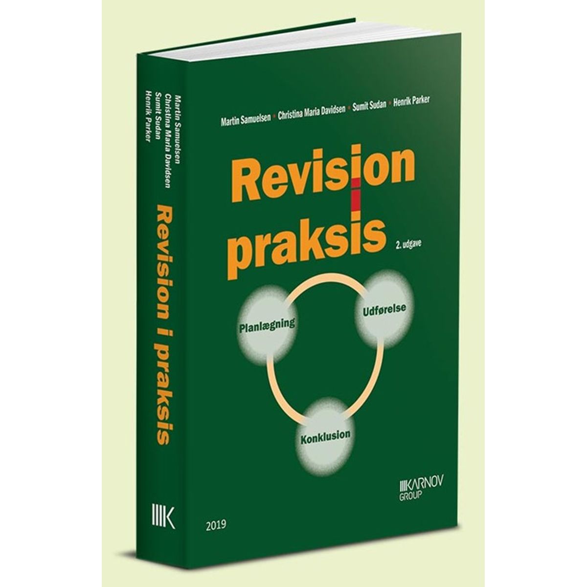 Revision i praksis - Planlægning, Udførelse, Konklusion