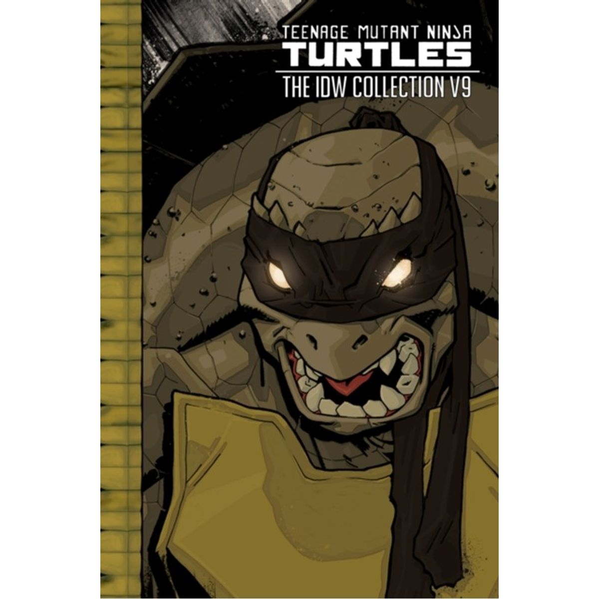 Teenage Mutant Ninja Turtles: The IDW Collection Volume 9