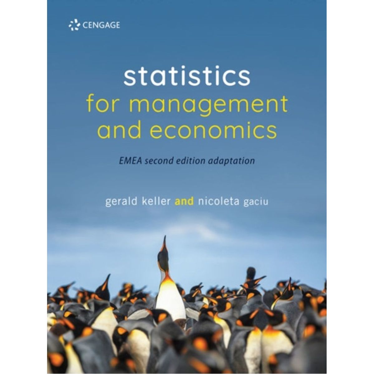 Statistics for Management and Economics