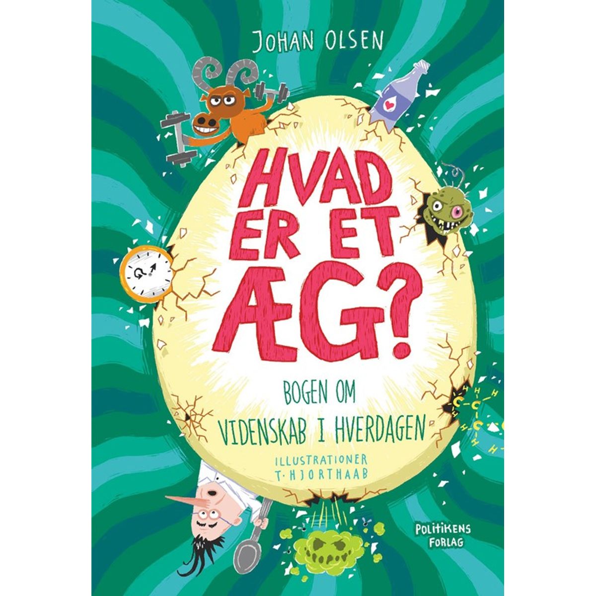 Hvad er et æg?