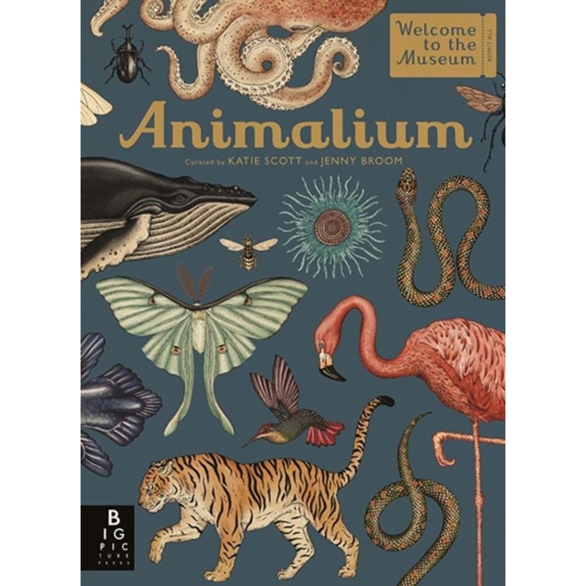 Animalium