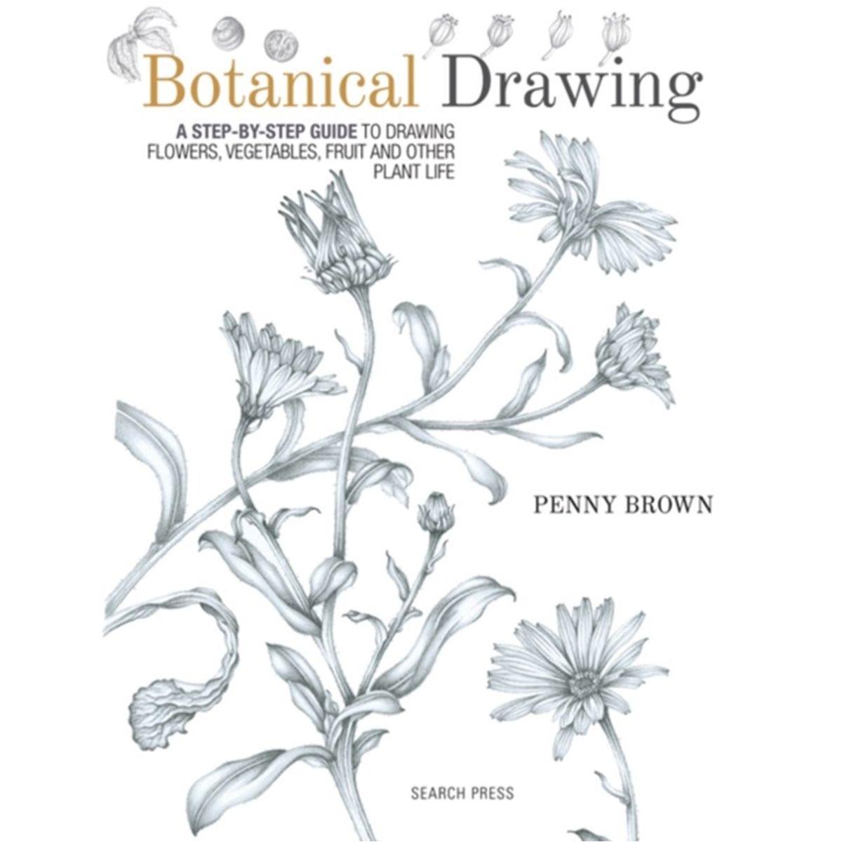 Botanical Drawing