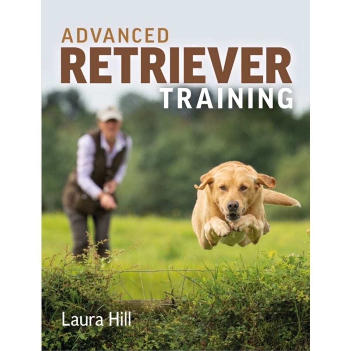 Advanced Retriever Training