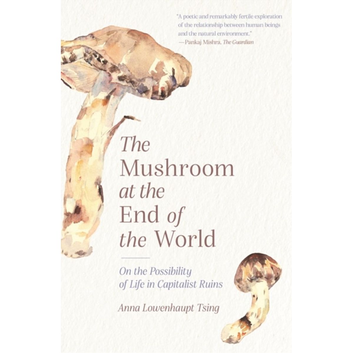 The Mushroom at the End of the World