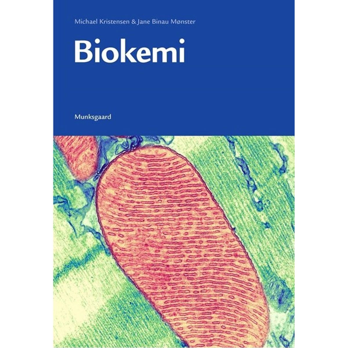 Biokemi