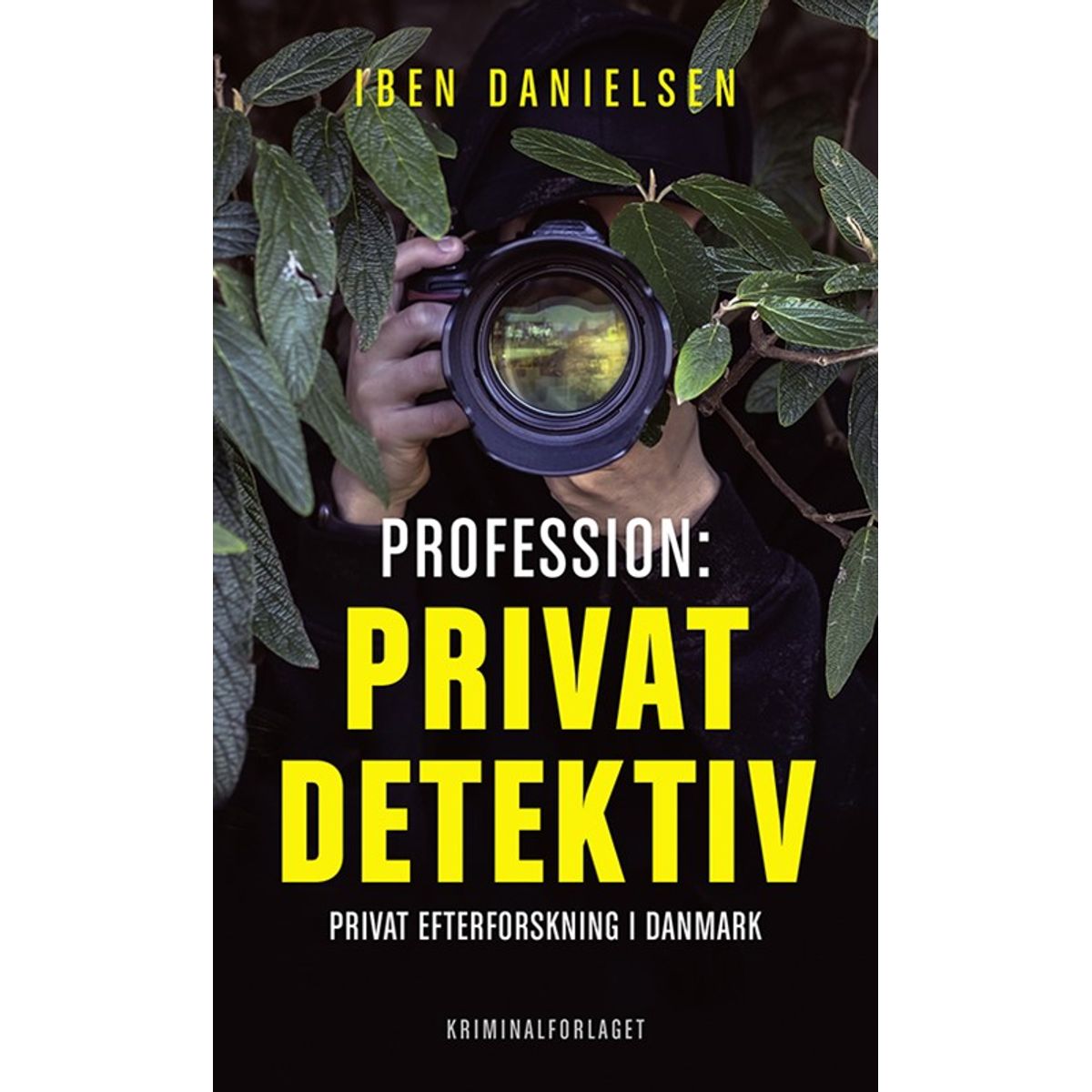 Profession: privatdetektiv