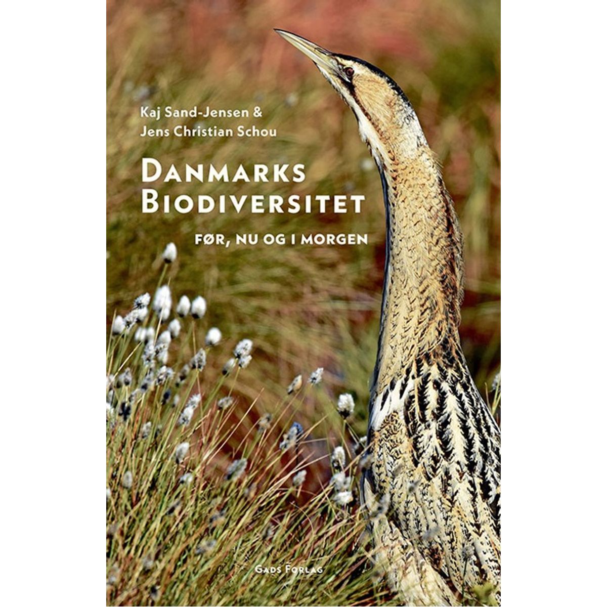 Danmarks biodiversitet