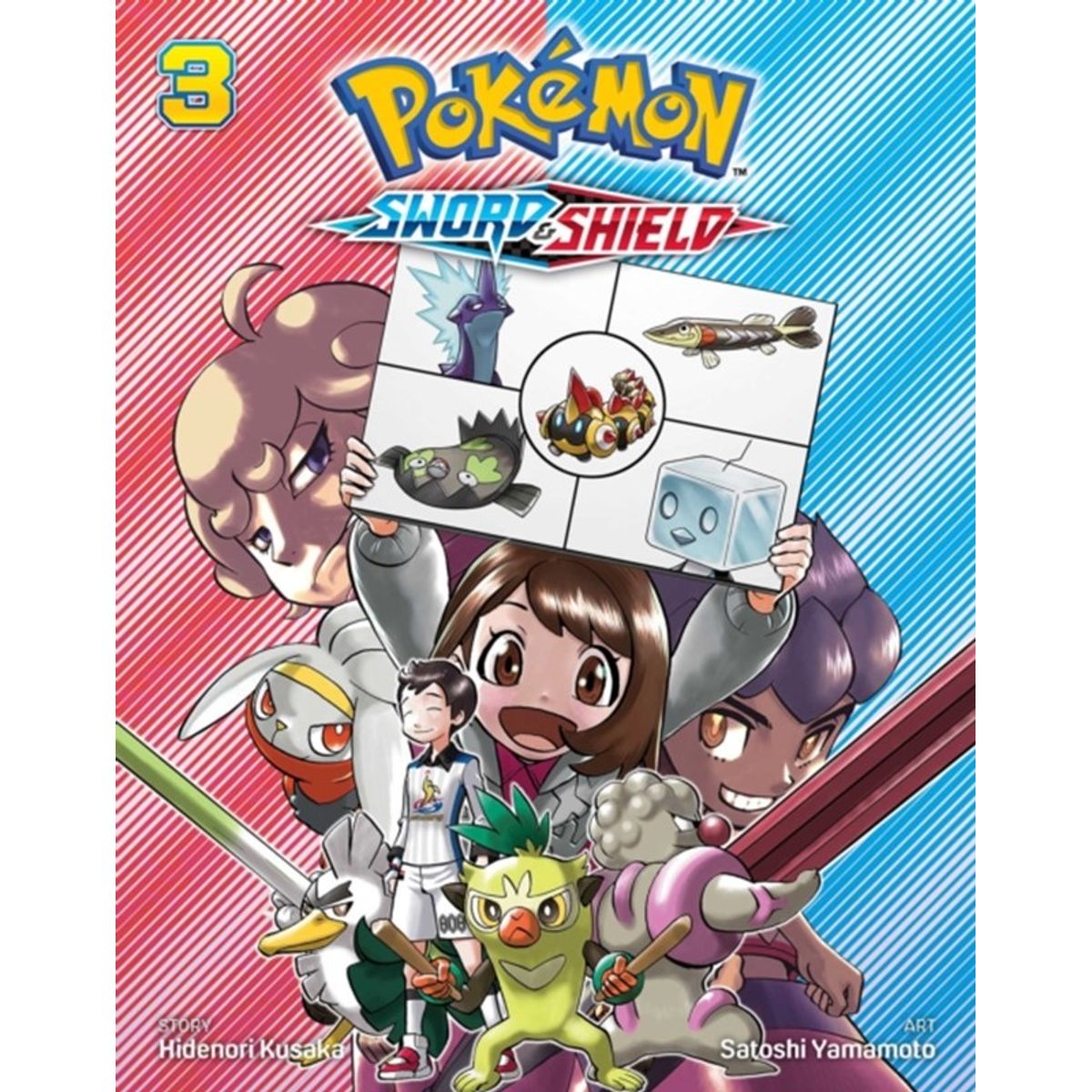 Pokemon: Sword & Shield, Vol. 3