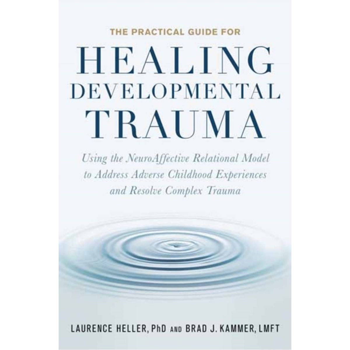 The Practical Guide for Healing Developmental Trauma