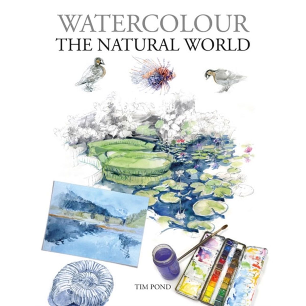 Watercolour The Natural World