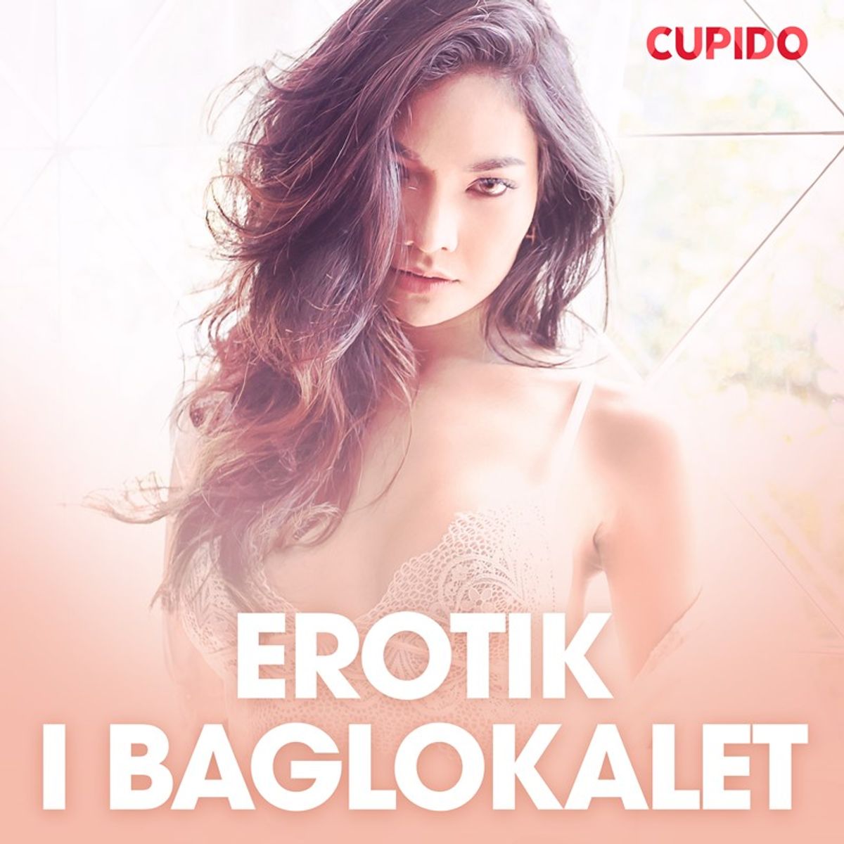 Erotik i baglokalet - erotisk novelle