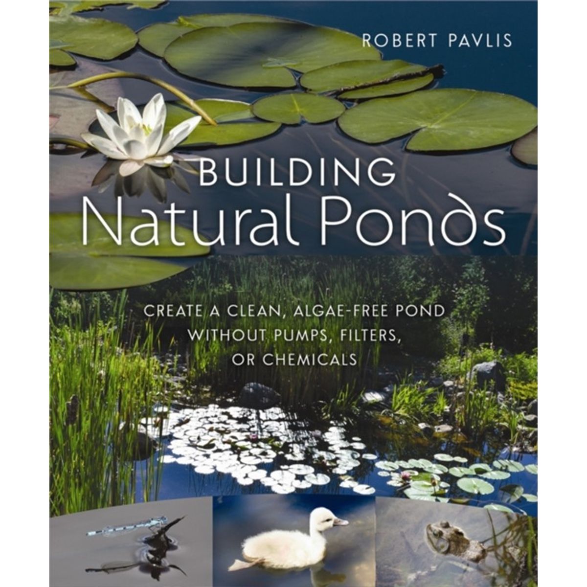 Building Natural Ponds