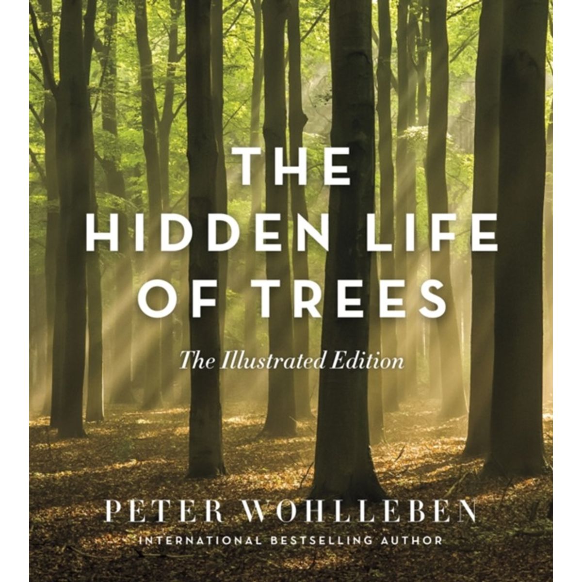 The Hidden Life of Trees