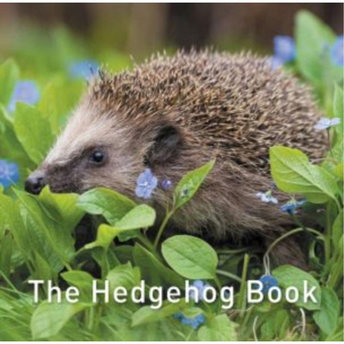 Nature Book Series, The: The Hedgehog Book