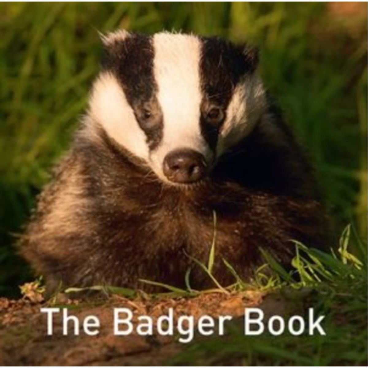 The Nature Book Series: The Badger Book