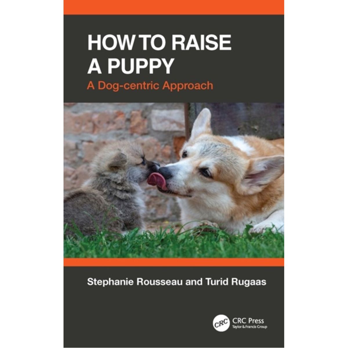 How to Raise a Puppy