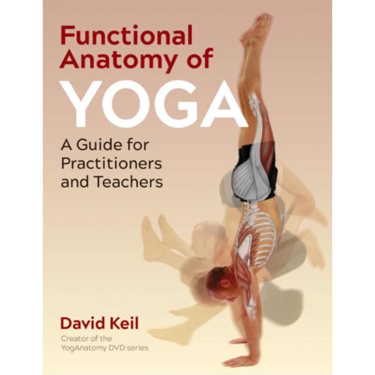 Functional Anatomy of Yoga