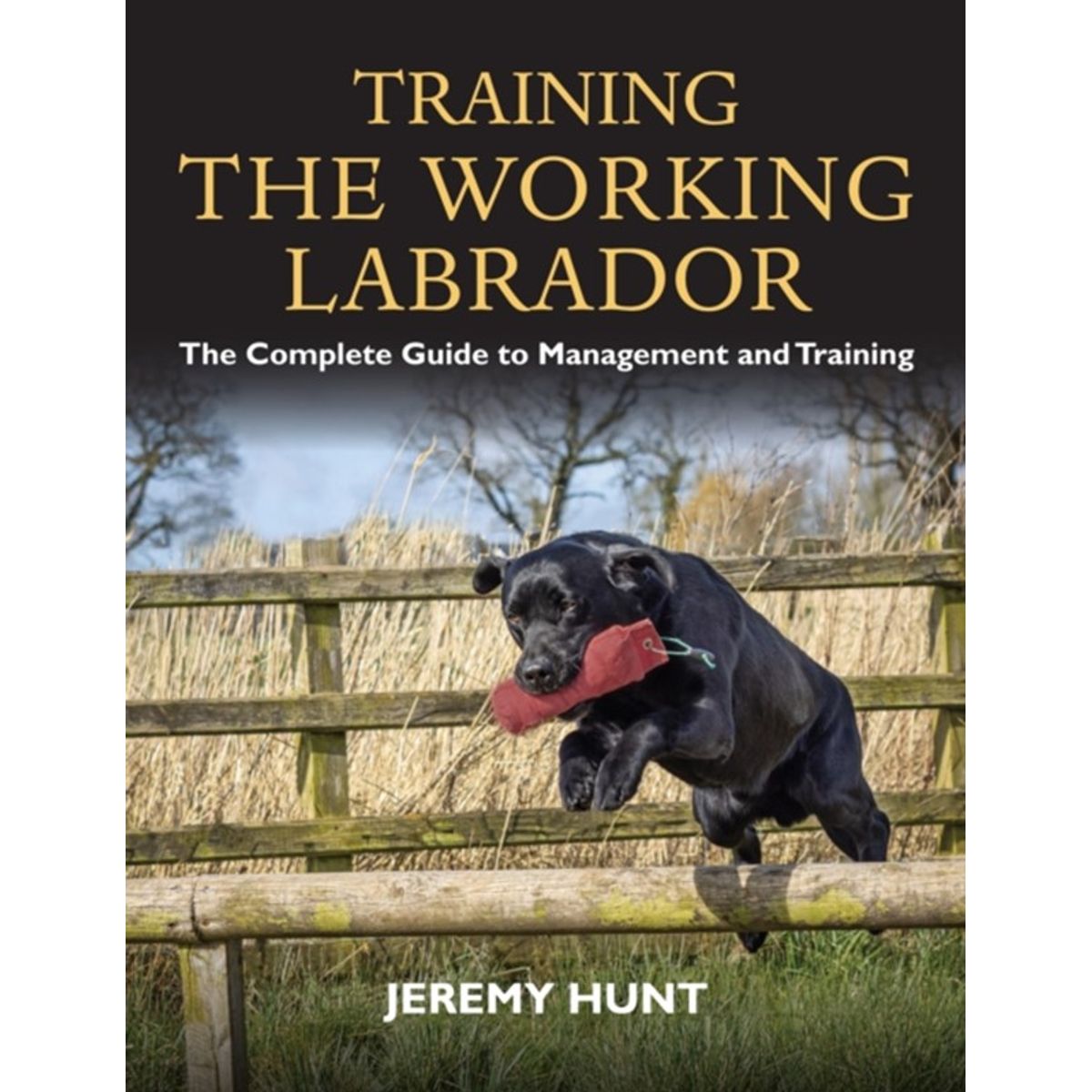 Training the Working Labrador