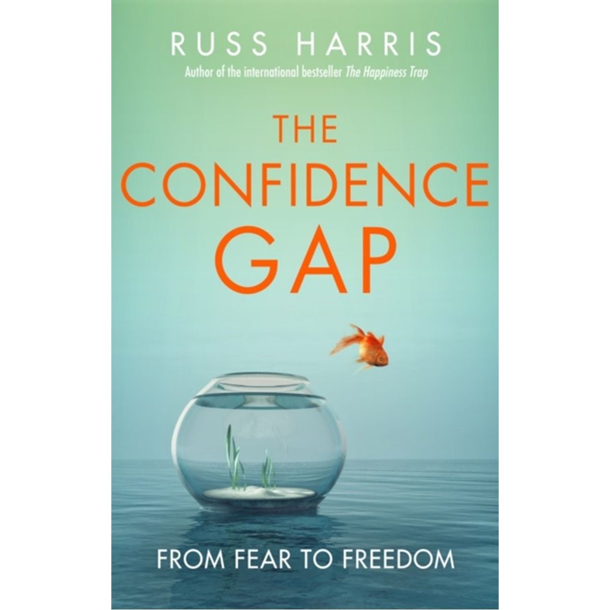 The Confidence Gap