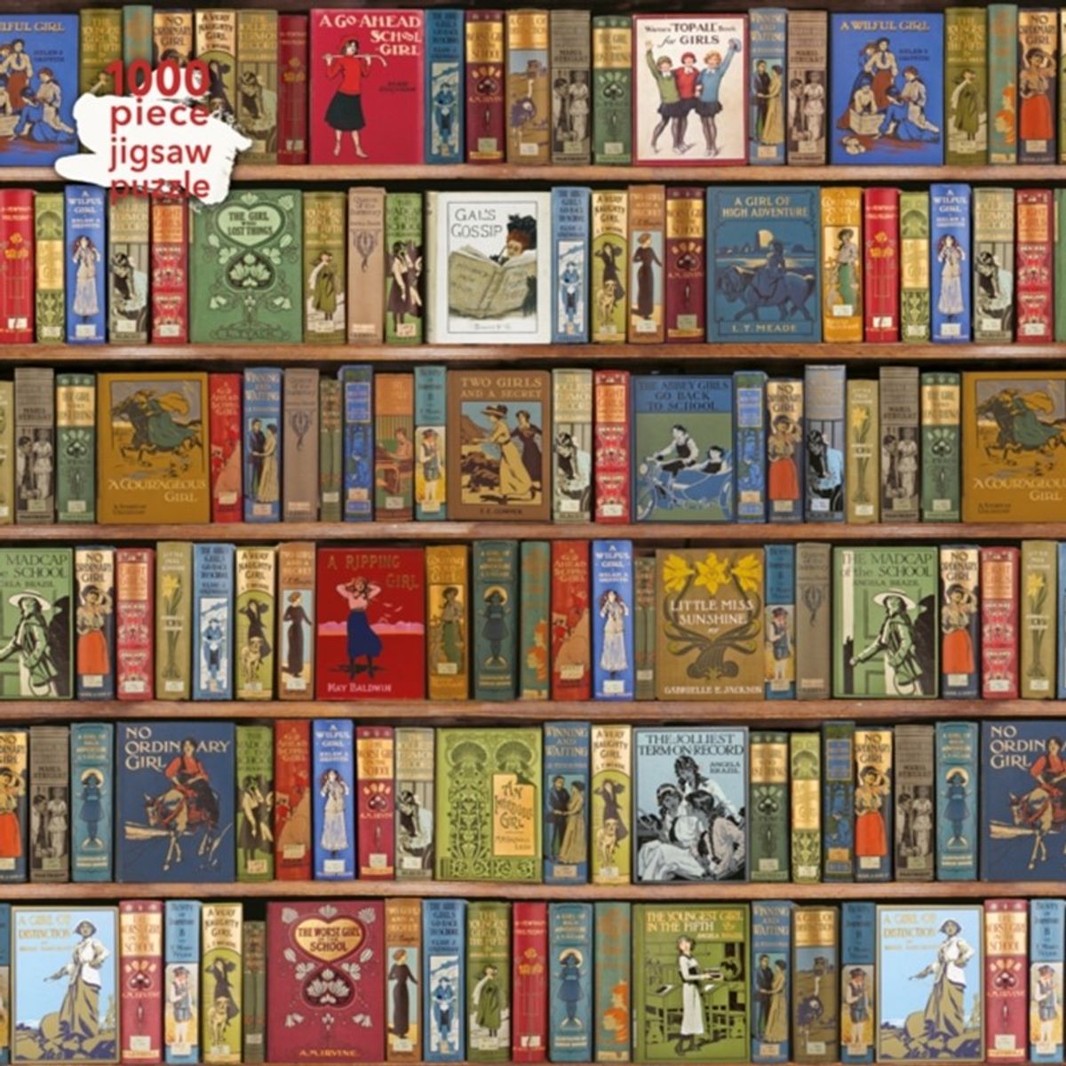 Adult Sustainable Jigsaw Puzzle Bodleian Library: High Jinks Bookshelves