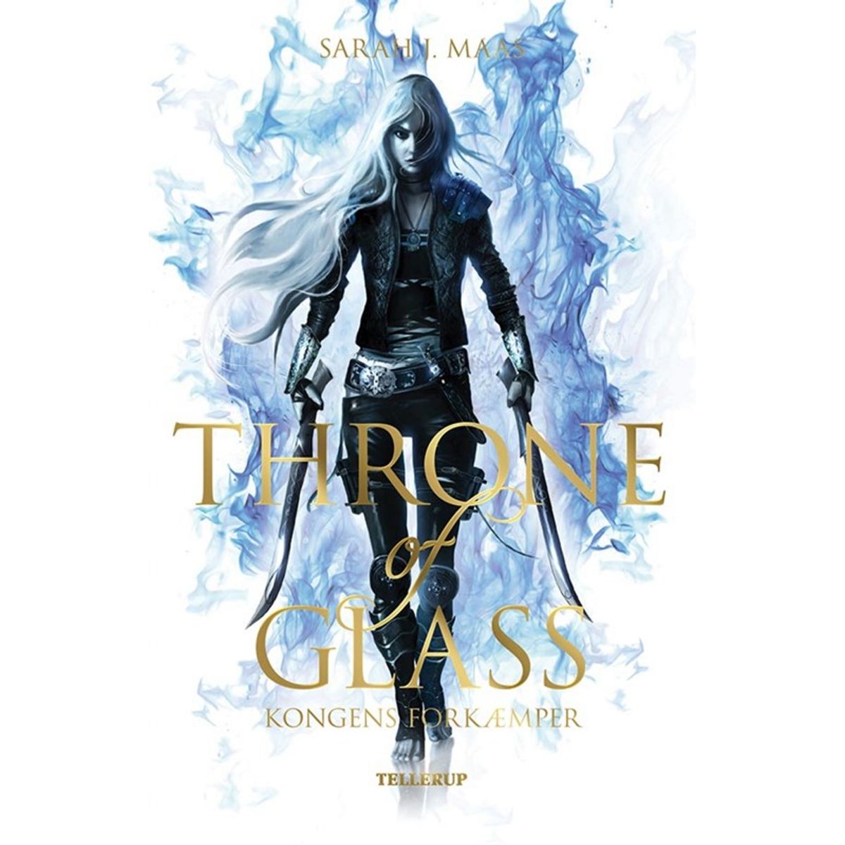 Throne of Glass #1: Kongens forkæmper