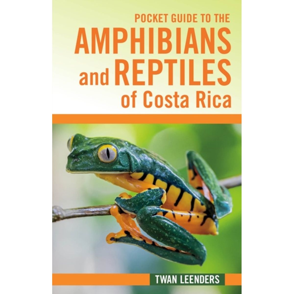 Pocket Guide to the Amphibians and Reptiles of Costa Rica