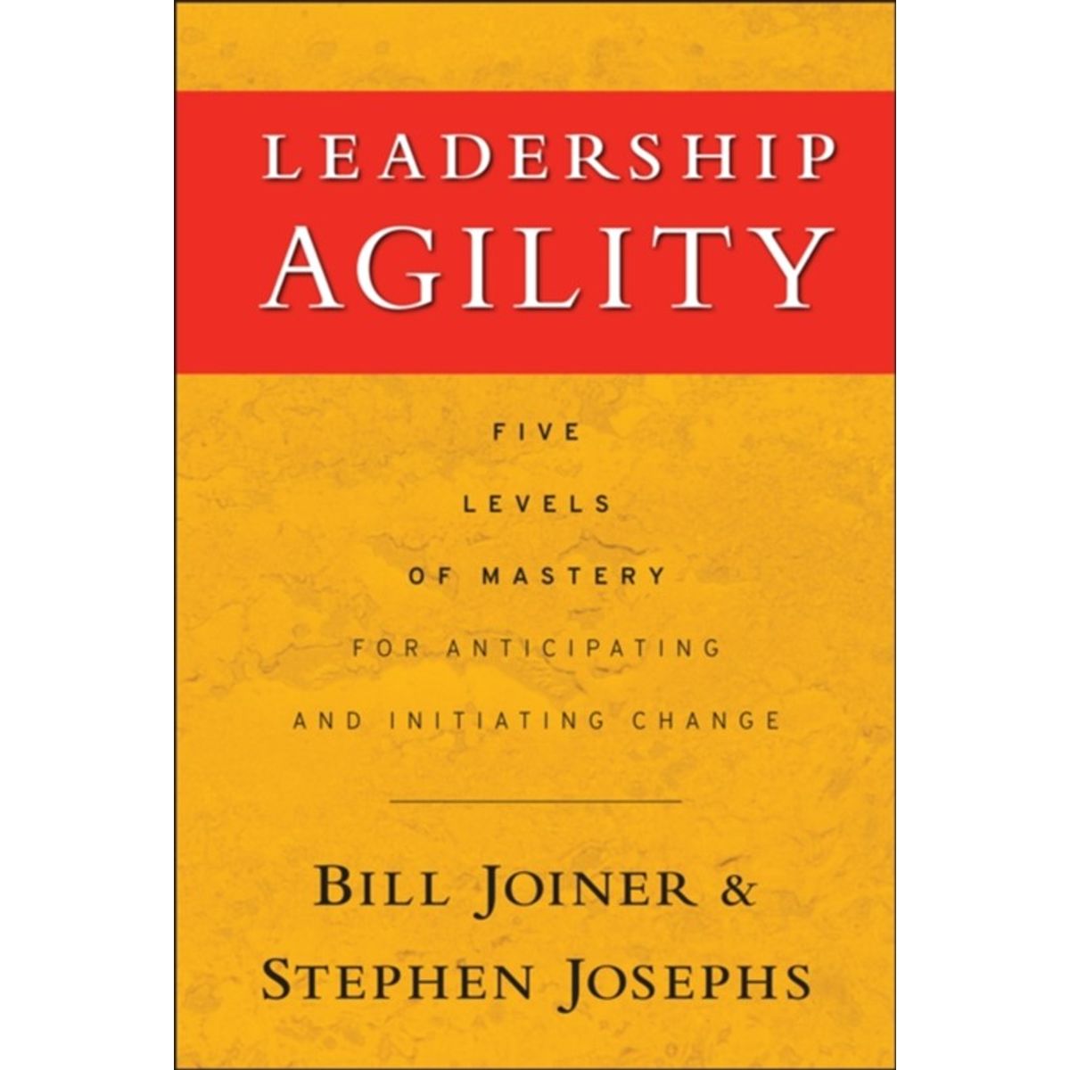 Leadership Agility