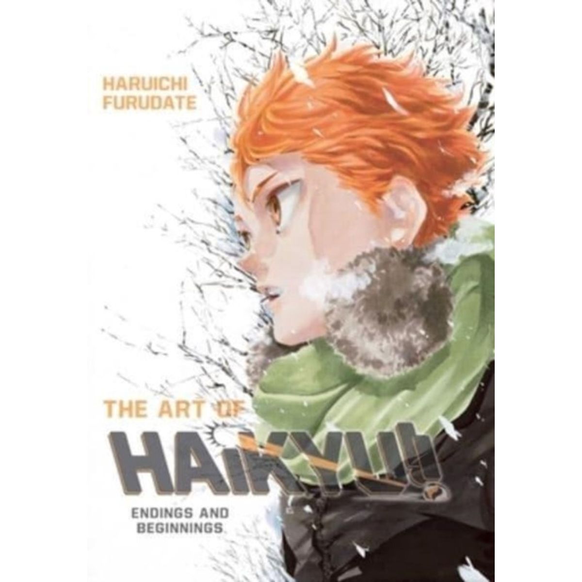 The Art of Haikyu!!