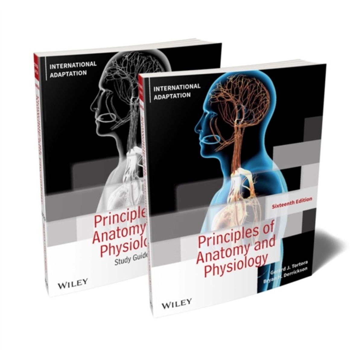 Principles of Anatomy and Physiology + Study Guide, 16e International Adaptation Set