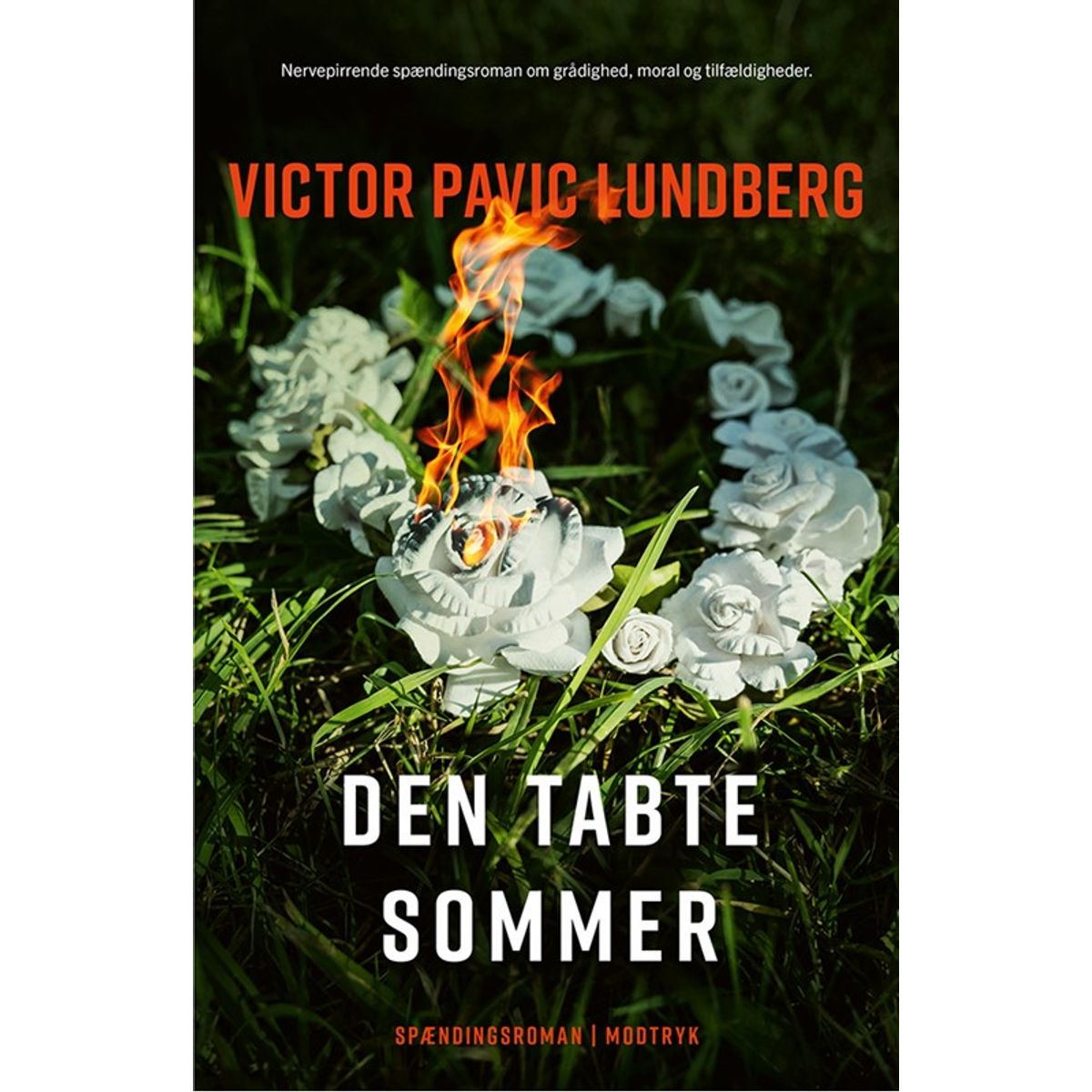 Den tabte sommer