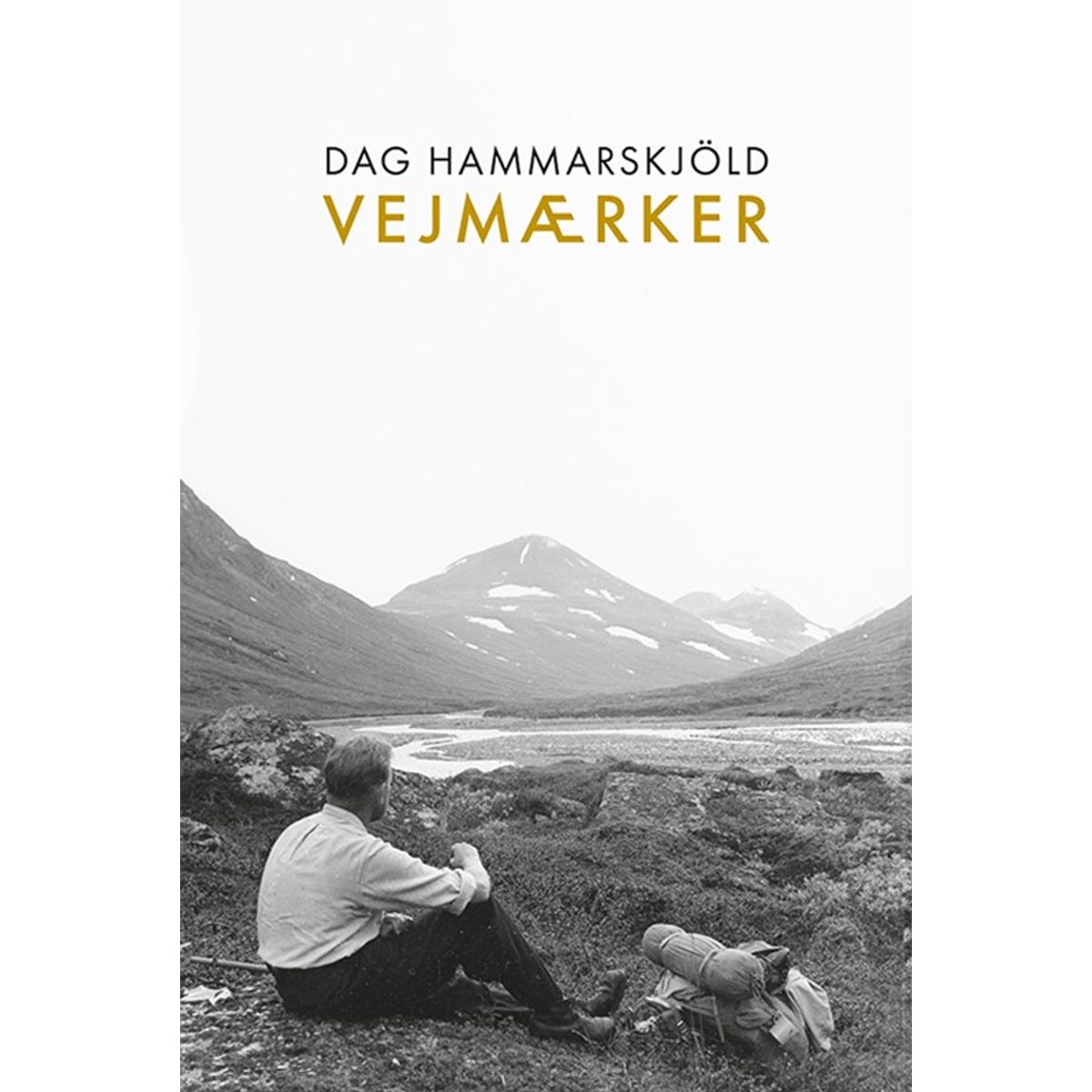 Vejmærker