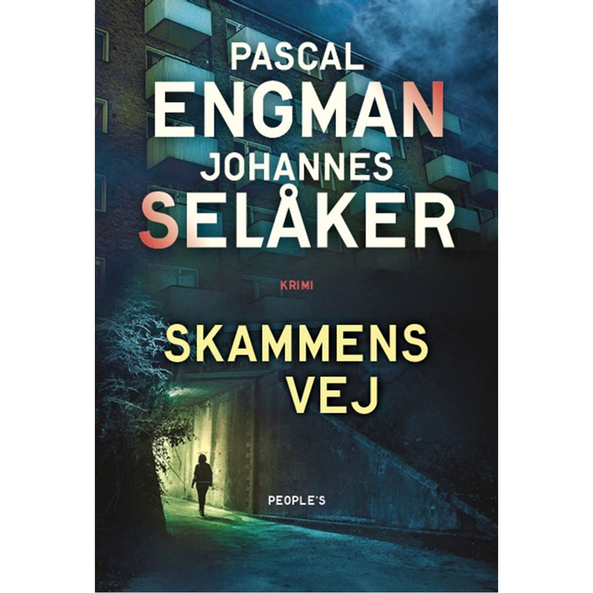 Skammens vej