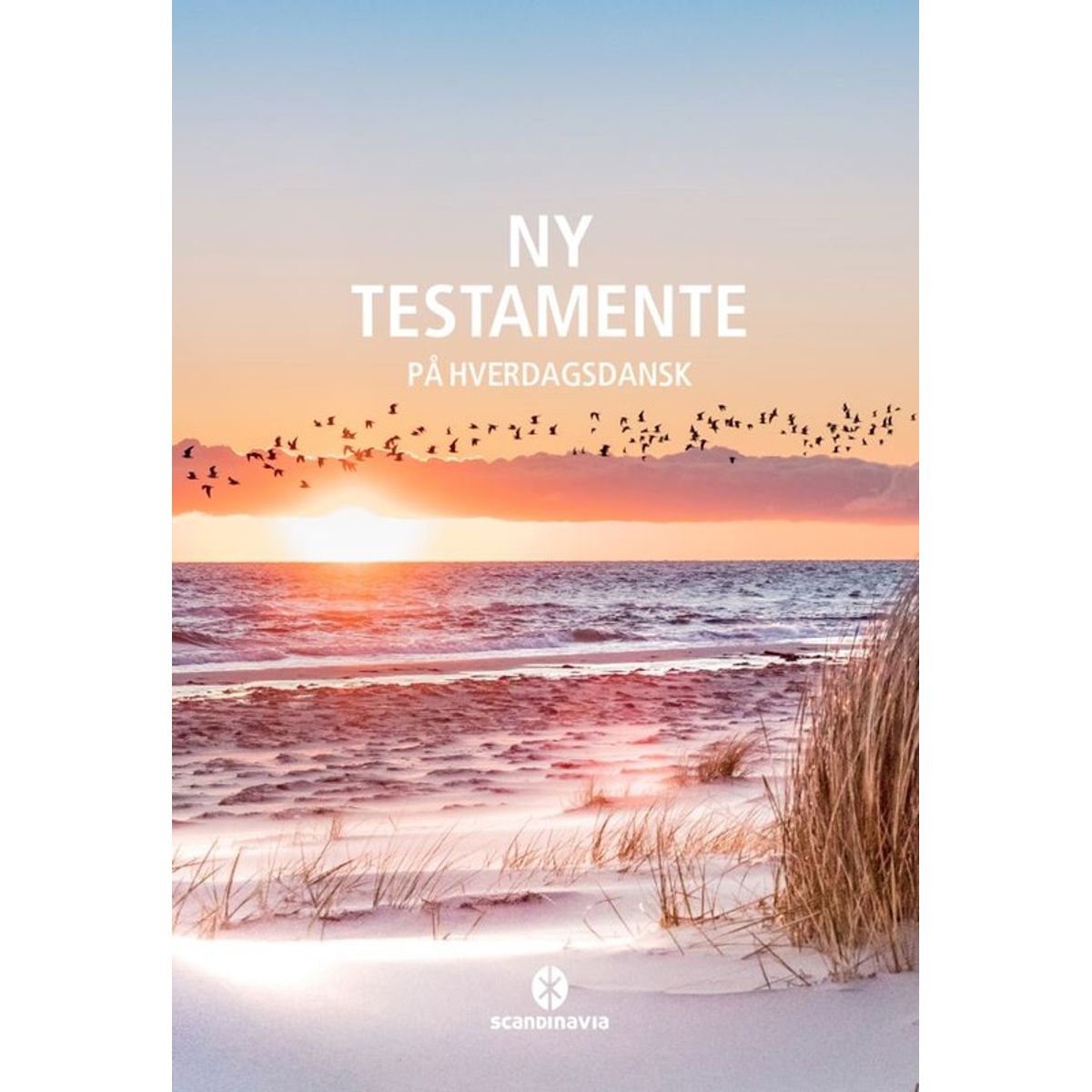 Ny Testamente - på hverdagsdansk, strand.