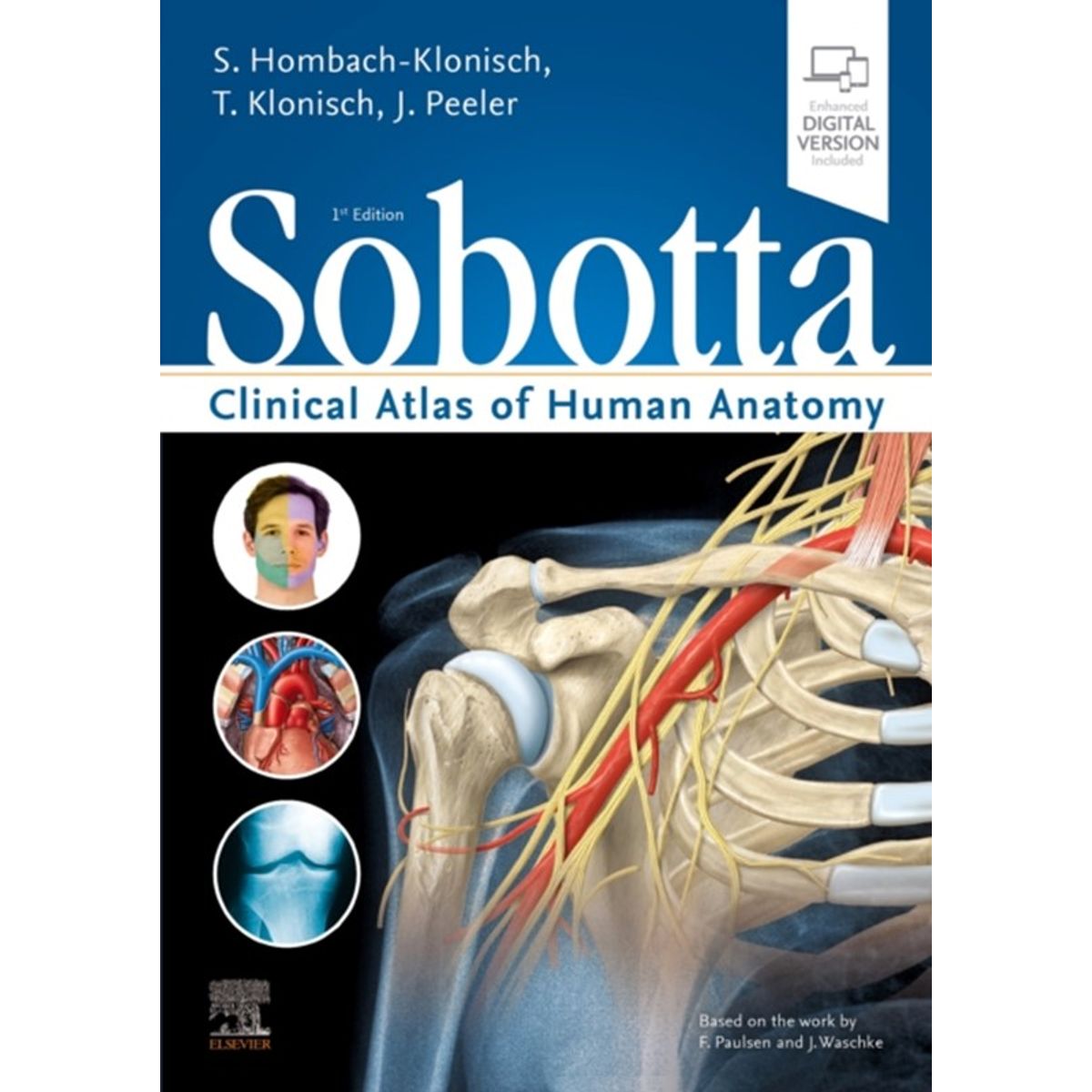 Sobotta Clinical Atlas of Human Anatomy, one volume, English