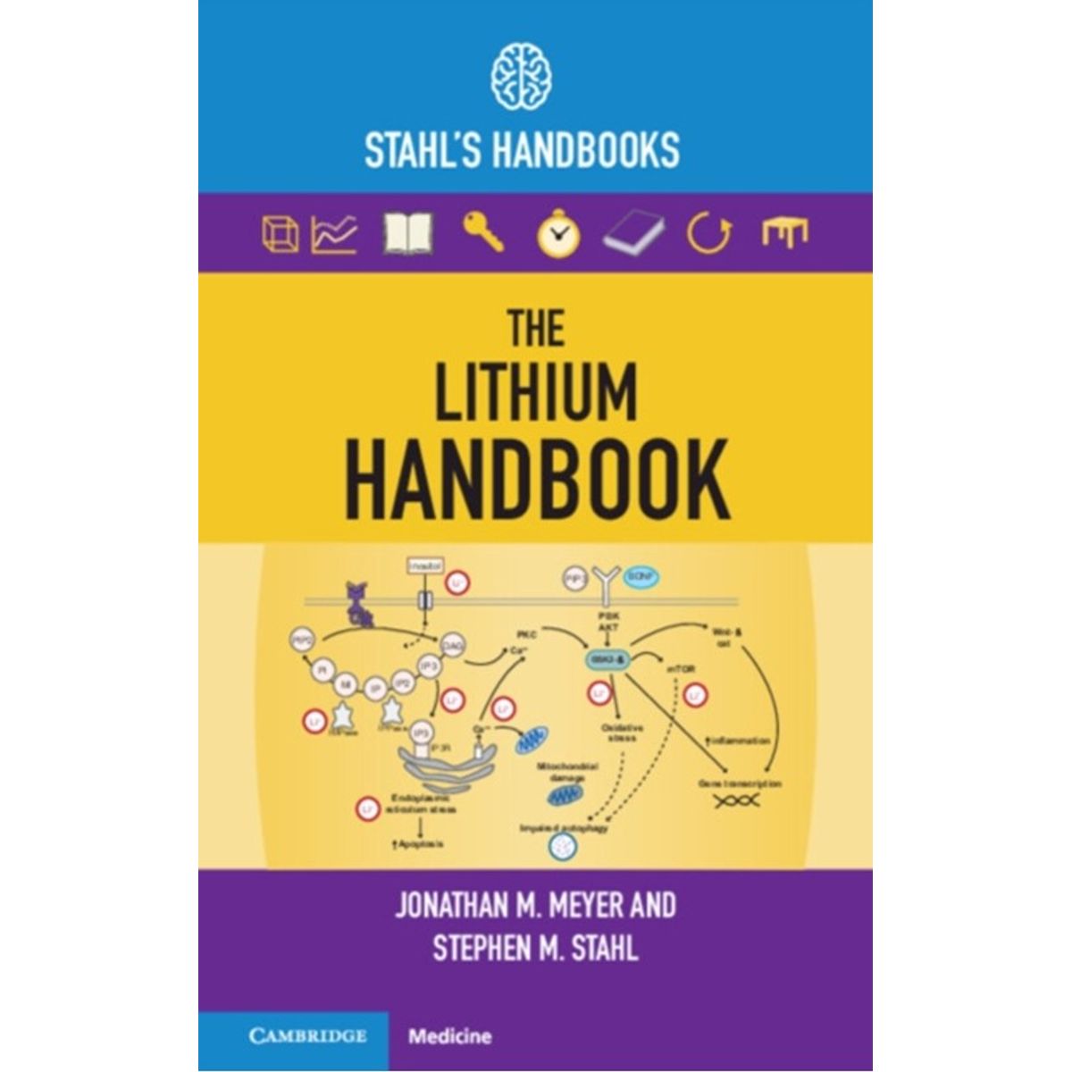 The Lithium Handbook