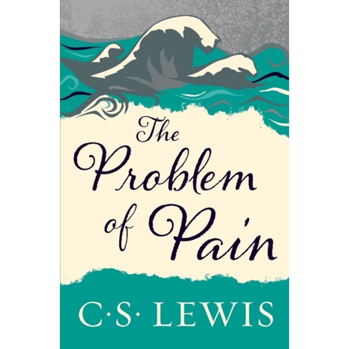 The Problem of Pain