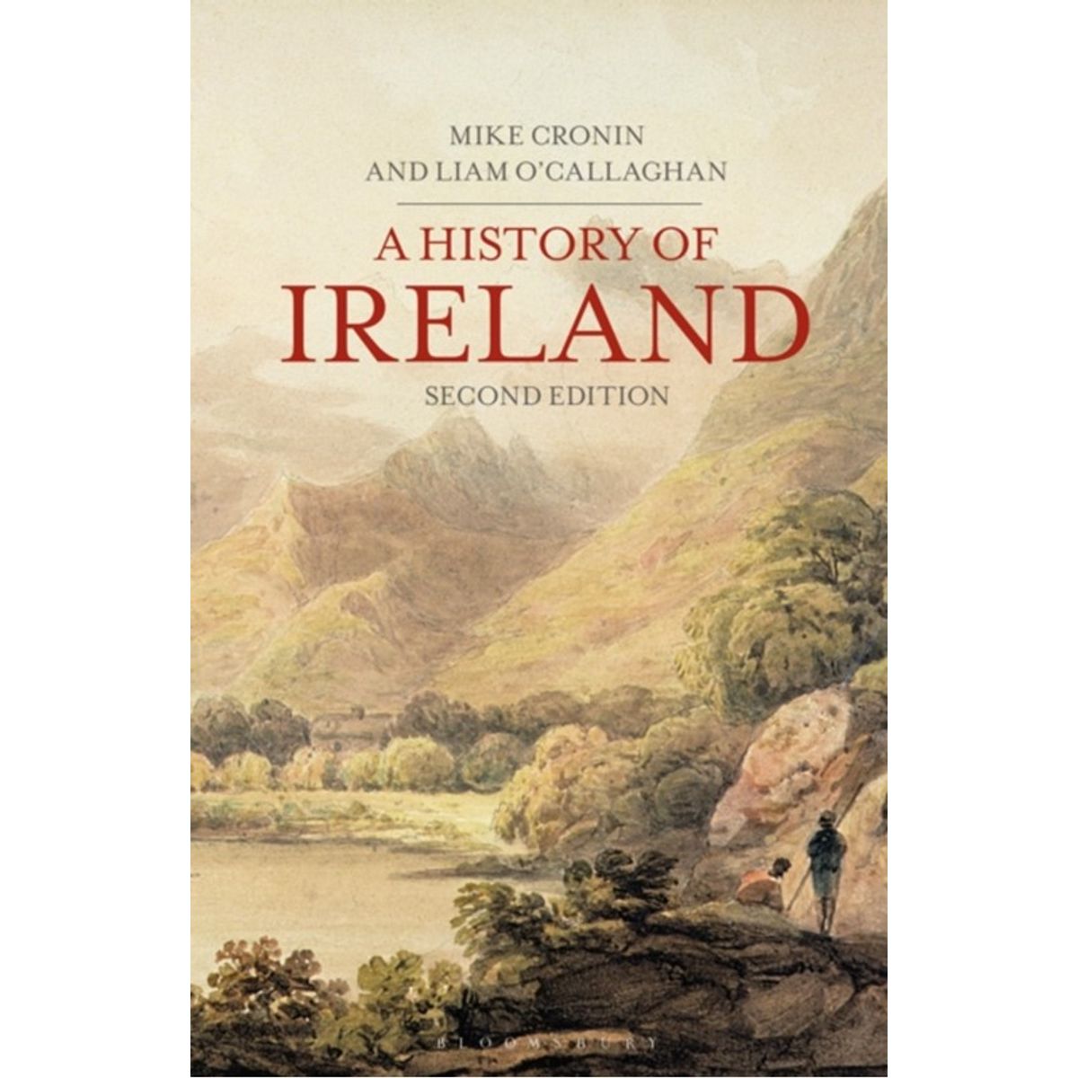 A History of Ireland